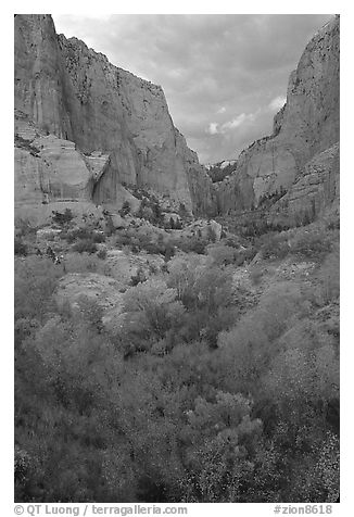 South Fork of Kolob Canyons at sunset. Zion National Park (black and white)