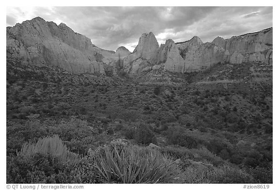 Panoramic view of Kolob Canyons at sunset. Zion National Park, Utah, USA.