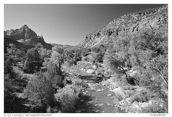 Virgin river and Watchman, spring morning. Zion National Park, Utah, USA.