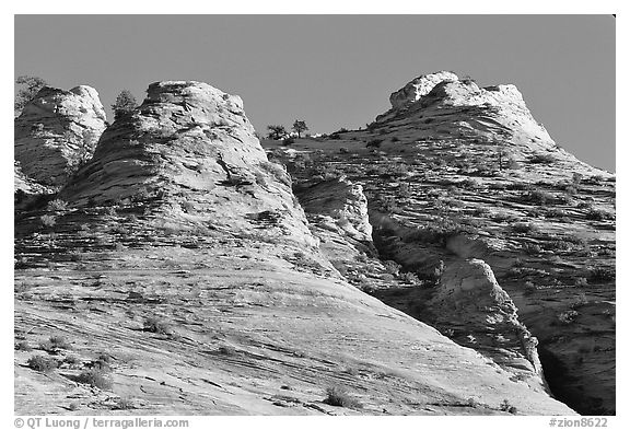 Hoodoos near Canyon View, early morning. Zion National Park, Utah, USA.