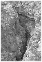 Slot Canyon seen from above. Zion National Park, Utah, USA. (black and white)