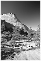 Checkerboard Mesa, morning. Zion National Park, Utah, USA. (black and white)