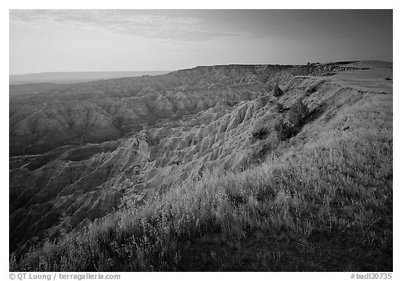 Prairie grasses and erosion canyon at sunrise, Stronghold Unit. Badlands National Park (black and white)