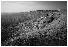 Prairie grasses and erosion canyon at sunrise, Stronghold Unit. Badlands National Park, South Dakota, USA. (black and white)