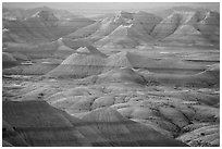 Delicately colored badlands and prairie at sunrise. Badlands National Park, South Dakota, USA. (black and white)