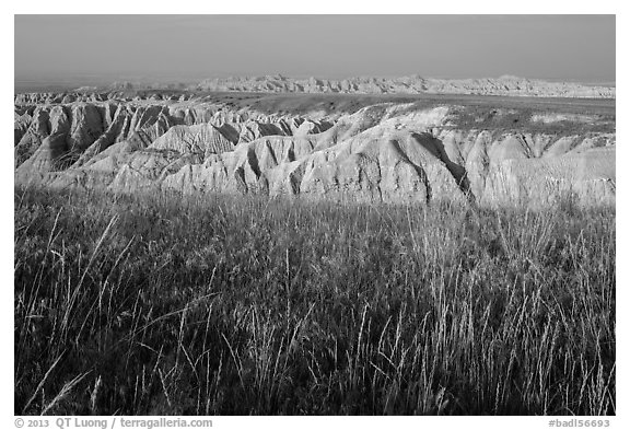 Mixed grass prairie alternating with badlands. Badlands National Park, South Dakota, USA.