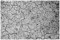 Cracks in yellow fossil soil. Badlands National Park, South Dakota, USA. (black and white)