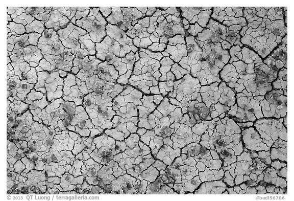 Cracks in multi-colored paleosol. Badlands National Park (black and white)