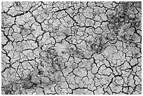 Rocks and mud cracks. Badlands National Park ( black and white)