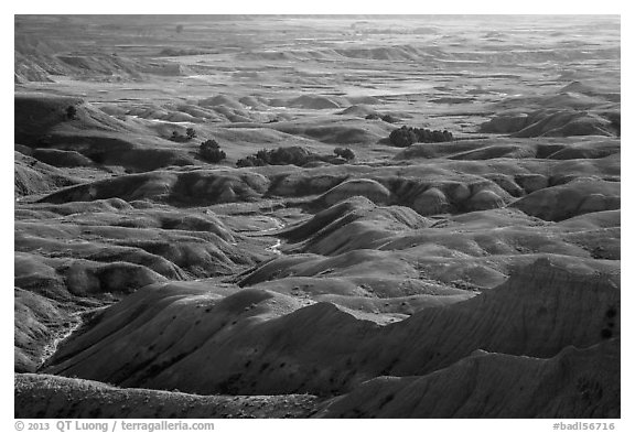 Buttes and grassy areas in Badlands Wilderness. Badlands National Park (black and white)