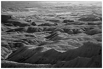 Buttes and grassy areas in Badlands Wilderness. Badlands National Park ( black and white)