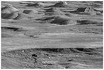 Distant bison and buttes, Badlands Wilderness. Badlands National Park ( black and white)