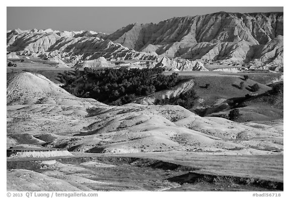 Badlands and Juniper forest. Badlands National Park (black and white)