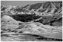 Badlands and Juniper forest. Badlands National Park, South Dakota, USA. (black and white)