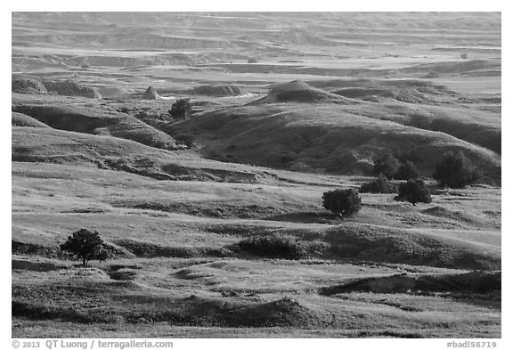 Rolling hills, Badlands Wilderness. Badlands National Park (black and white)