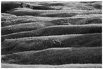 Grassy ridges, Badlands Wilderness. Badlands National Park, South Dakota, USA. (black and white)