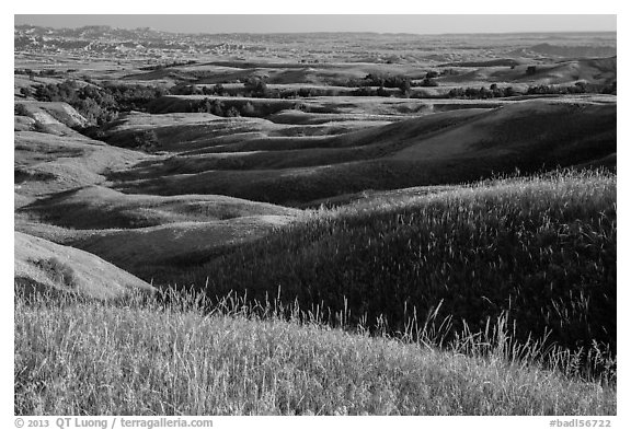 Grassy hills in early summer, Badlands Wilderness. Badlands National Park, South Dakota, USA.