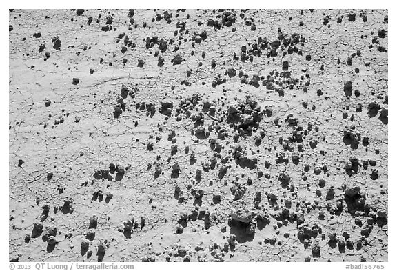 Rocks on cracked soil. Badlands National Park (black and white)