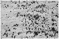 Rocks on cracked soil. Badlands National Park, South Dakota, USA. (black and white)