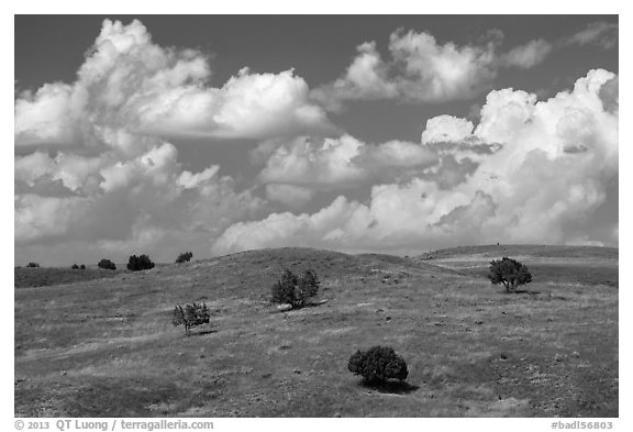 Rolling hills, junipers, afternoon clouds. Badlands National Park, South Dakota, USA.