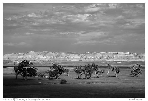 Cottonwoods and badlands, Stronghold Unit. Badlands National Park (black and white)