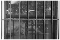 Cottonwood, White River Visitor Center window reflexion. Badlands National Park, South Dakota, USA. (black and white)