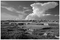 Stronghold Unit. Badlands National Park ( black and white)