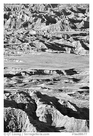 Badlands mixed with prairie from Pinacles overlook, morning. Badlands National Park (black and white)
