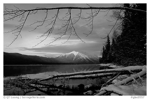 Shore of lake McDonald in winter. Glacier National Park, Montana, USA.