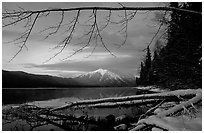 Shore of lake McDonald in winter. Glacier National Park, Montana, USA. (black and white)