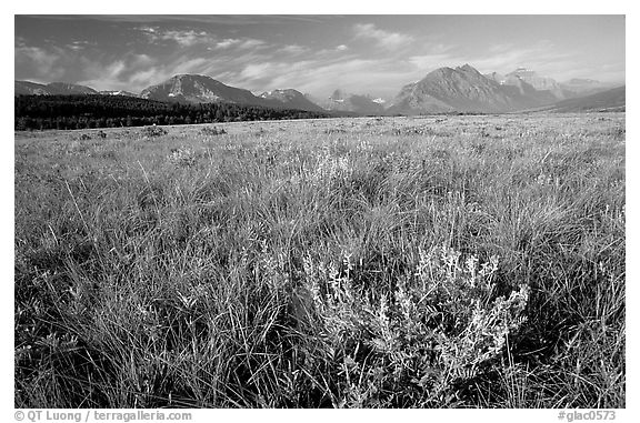 Prairie and Lewis range. Glacier National Park (black and white)