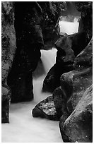 Stream cascading in narrow gorge, Avalanche creek. Glacier National Park ( black and white)