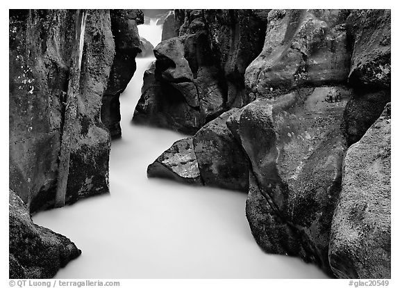 Water rushing in narrow mossy gorge, Avalanche Creek. Glacier National Park (black and white)