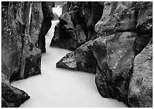 Water rushing in narrow mossy gorge, Avalanche Creek. Glacier National Park ( black and white)