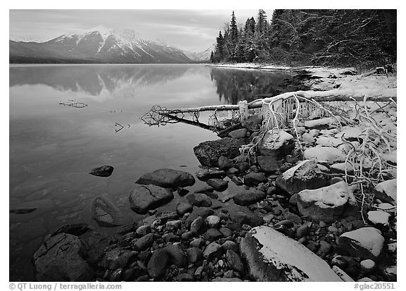 Snowy shoreline of Lake Mc Donald in winter. Glacier National Park (black and white)