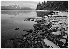 Snowy shoreline of Lake Mc Donald in winter. Glacier National Park ( black and white)