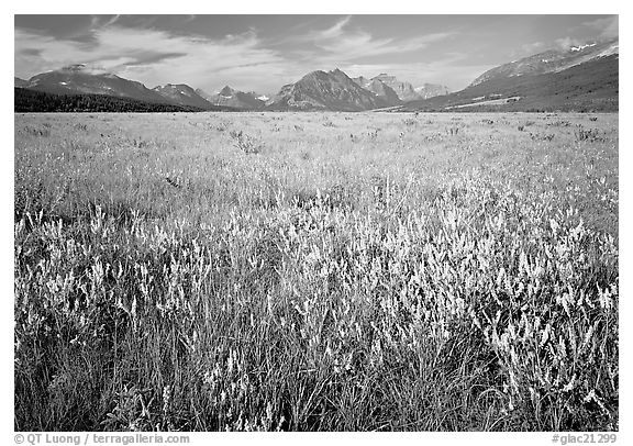 Lewis range seen from the eastern flats, morning. Glacier National Park, Montana, USA.