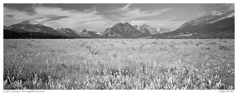 Prairie and mountains. Glacier National Park (black and white)