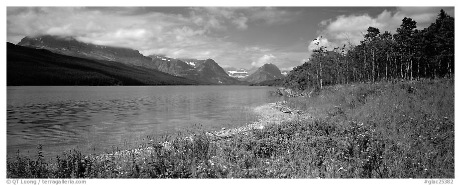 Mountain lake with wildflowers on shore. Glacier National Park (black and white)