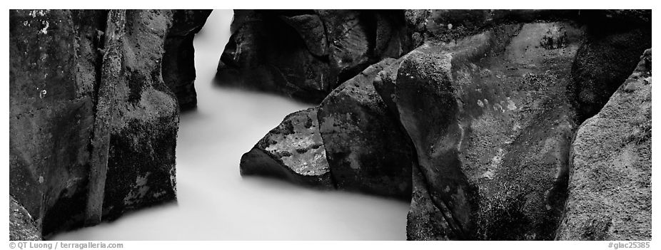 Stream flowing in mossy gorge. Glacier National Park (black and white)