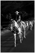 Man leading horse pack, sunrise. Glacier National Park, Montana, USA. (black and white)