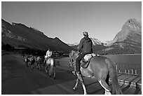 Horses on the shores of Swiftcurrent Lake, sunrise. Glacier National Park, Montana, USA. (black and white)