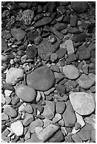 Colorful pebbles and shadow. Glacier National Park, Montana, USA. (black and white)