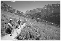 Group hiking on the Grinnell Glacier trail. Glacier National Park ( black and white)