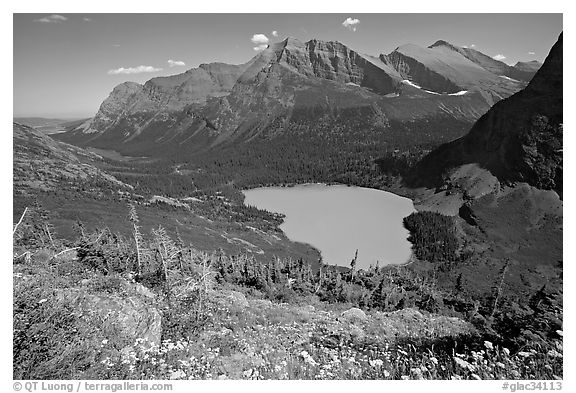 Alpine wildflowers, Grinnell Lake, and Allen Mountain. Glacier National Park (black and white)