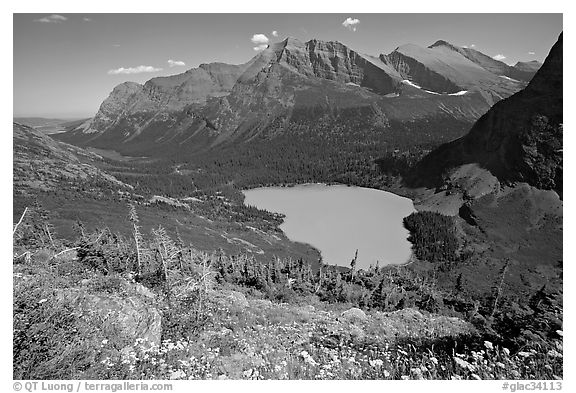 Alpine wildflowers, Grinnell Lake, and Allen Mountain. Glacier National Park, Montana, USA.