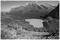 Alpine wildflowers, Grinnell Lake, and Allen Mountain. Glacier National Park, Montana, USA. (black and white)