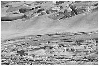 Crevasses on Grinnell Glacier, the largest in the Park. Glacier National Park, Montana, USA. (black and white)