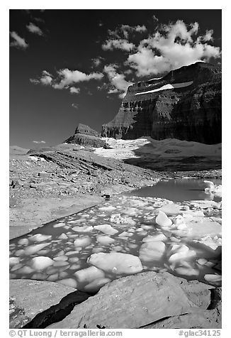 Icebergs in Upper Grinnel Lake, with glacier and Mt Gould in background. Glacier National Park, Montana, USA.