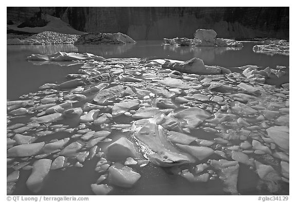 Icebergs in Upper Grinnell Lake. Glacier National Park, Montana, USA.